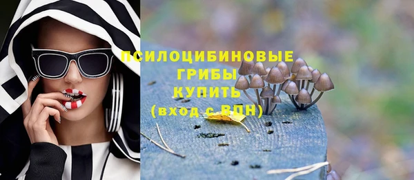 амф Абдулино