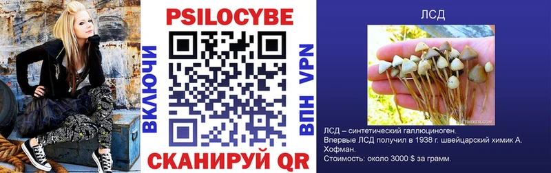 Псилоцибиновые грибы мухоморы  закладка  Староминская 